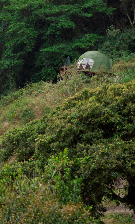 Cuspide Lodge - Choachí Dış mekan fotoğraf