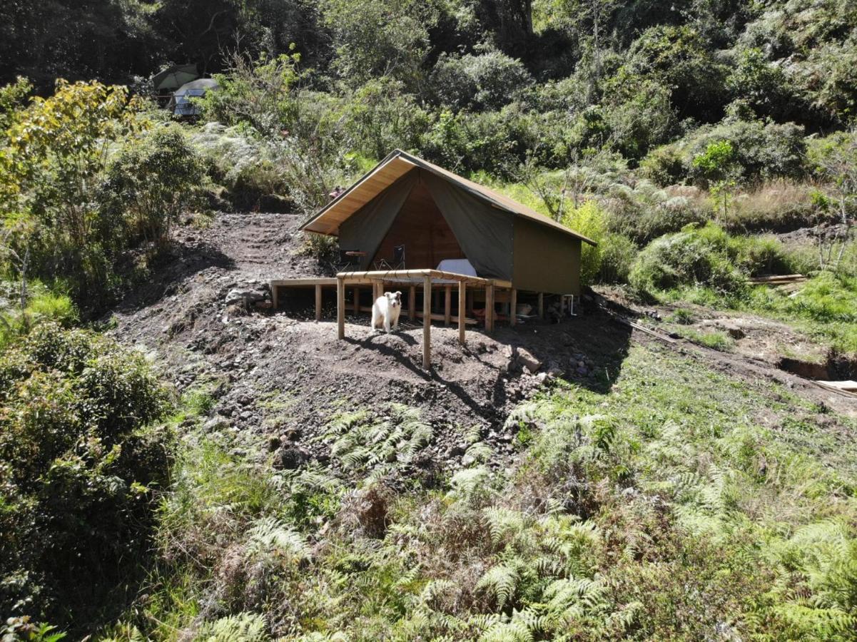 Cuspide Lodge - Choachí Dış mekan fotoğraf