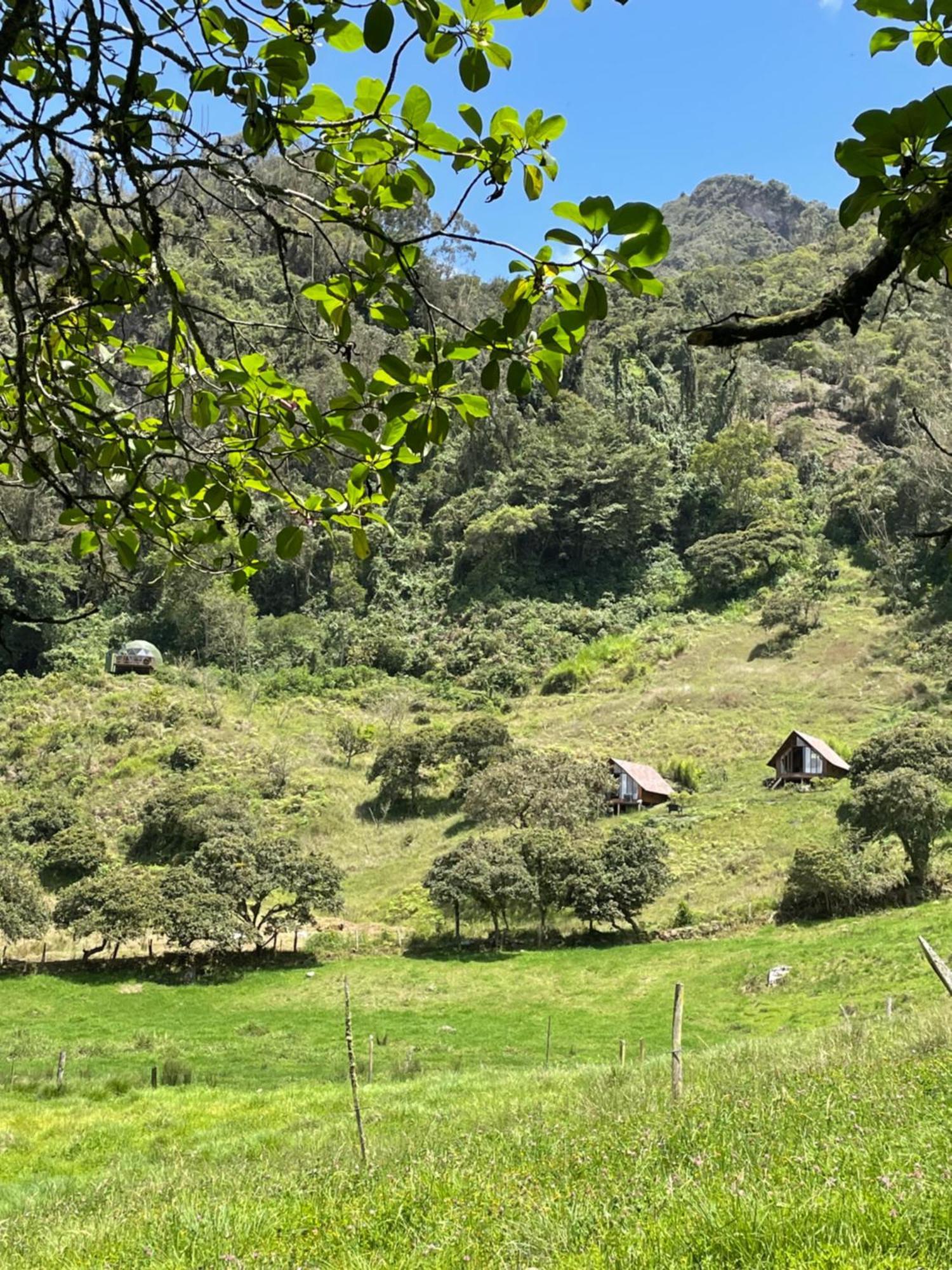 Cuspide Lodge - Choachí Dış mekan fotoğraf